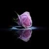 abdulameern86